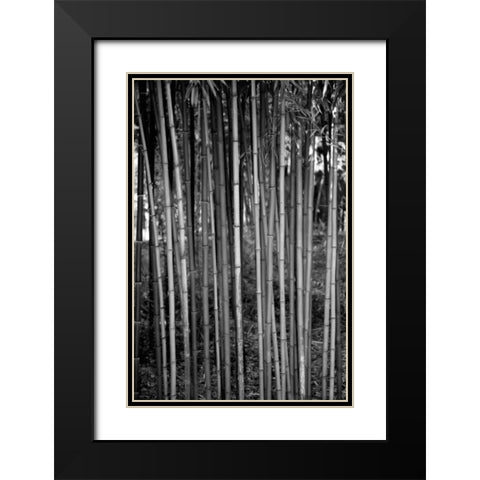 Beach Foliage 2 Black Modern Wood Framed Art Print with Double Matting by Grey, Jace