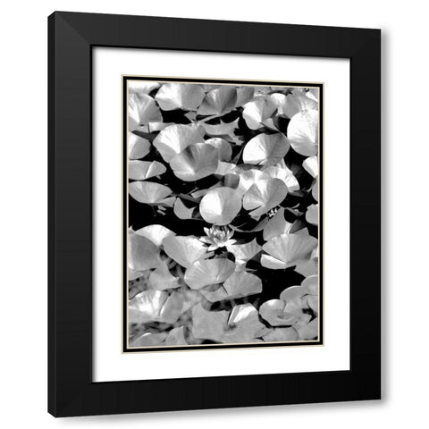 Beach Foliage 5 Black Modern Wood Framed Art Print with Double Matting by Grey, Jace