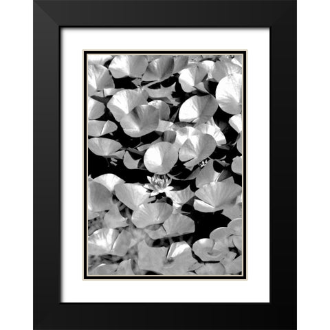 Beach Foliage 5 Black Modern Wood Framed Art Print with Double Matting by Grey, Jace