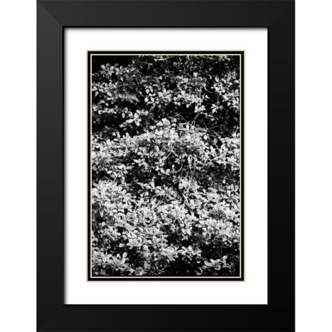 Beach Foliage 6 Black Modern Wood Framed Art Print with Double Matting by Grey, Jace