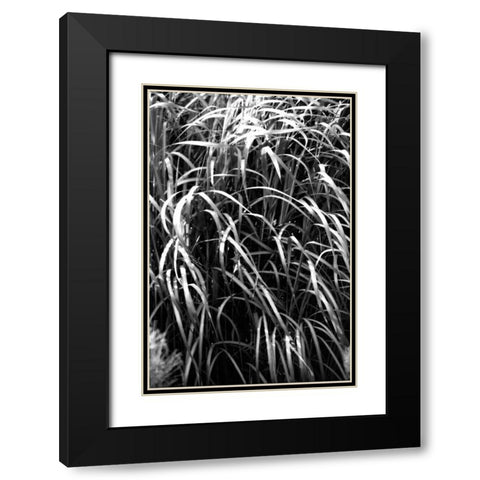 Beach Foliage 7 Black Modern Wood Framed Art Print with Double Matting by Grey, Jace
