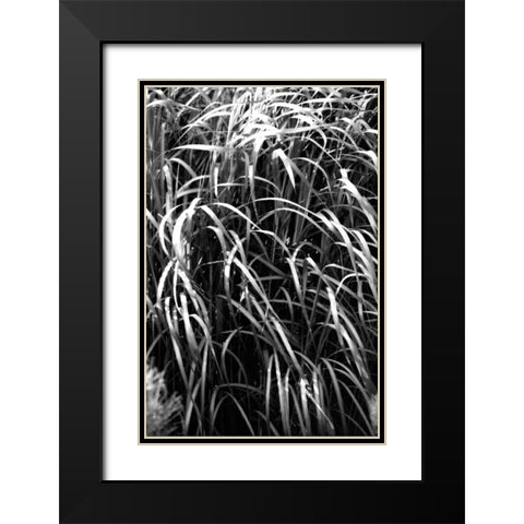 Beach Foliage 7 Black Modern Wood Framed Art Print with Double Matting by Grey, Jace