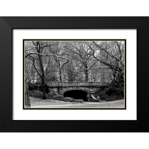 Central Park Bridge 2 Black Modern Wood Framed Art Print with Double Matting by Grey, Jace