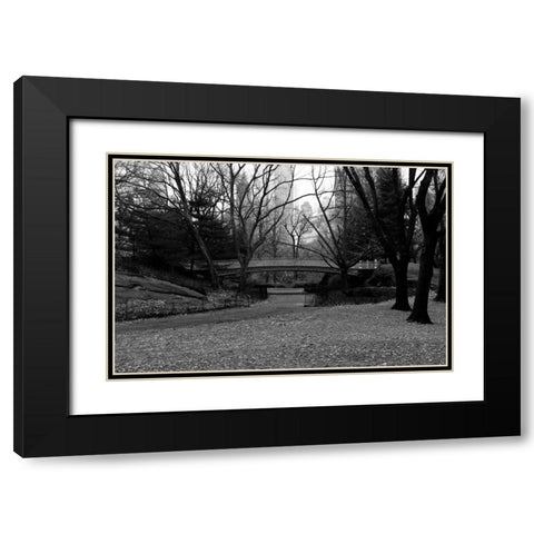 Central Park Bridge 3 Black Modern Wood Framed Art Print with Double Matting by Grey, Jace