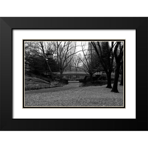 Central Park Bridge 3 Black Modern Wood Framed Art Print with Double Matting by Grey, Jace