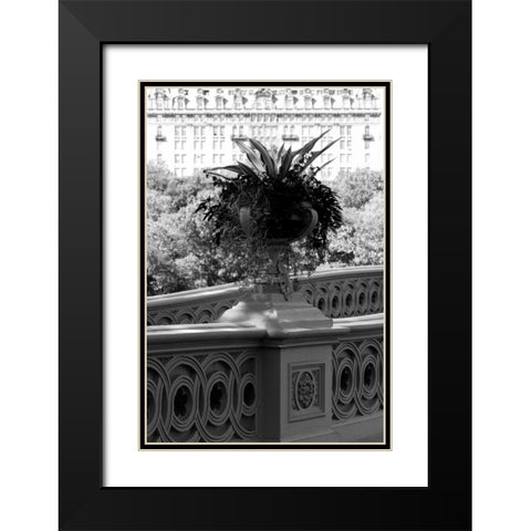 Central Park Bridge 5 Black Modern Wood Framed Art Print with Double Matting by Grey, Jace
