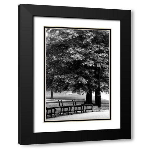 Central Park Benches Black Modern Wood Framed Art Print with Double Matting by Grey, Jace