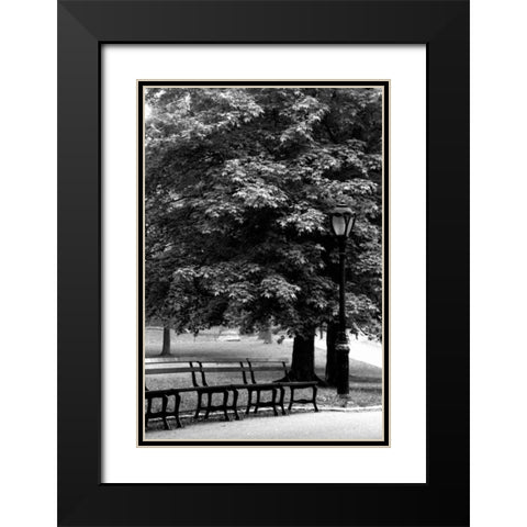 Central Park Benches Black Modern Wood Framed Art Print with Double Matting by Grey, Jace