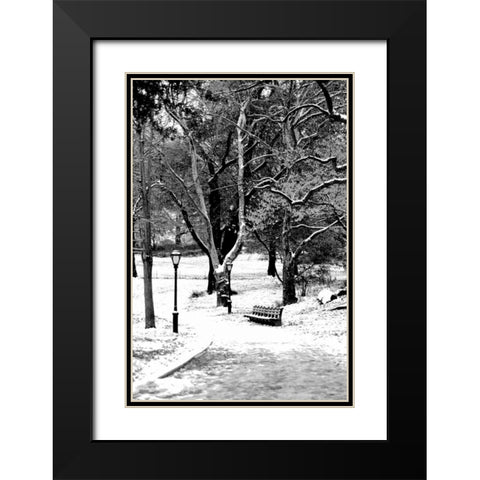 Central Park Snowy Scene Black Modern Wood Framed Art Print with Double Matting by Grey, Jace