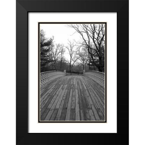 Central Park Bridge 4 Black Modern Wood Framed Art Print with Double Matting by Grey, Jace