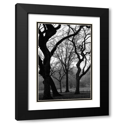 Central Park Dancing Trees Black Modern Wood Framed Art Print with Double Matting by Grey, Jace