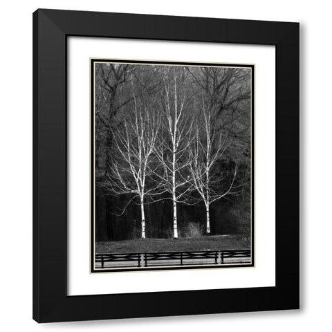 Central Park Three Amigos Fall Black Modern Wood Framed Art Print with Double Matting by Grey, Jace