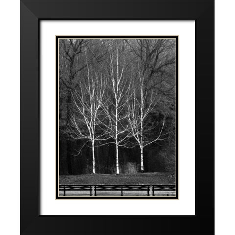 Central Park Three Amigos Fall Black Modern Wood Framed Art Print with Double Matting by Grey, Jace