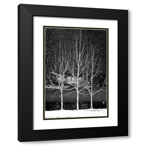 Central Park Three Amigos Winter Black Modern Wood Framed Art Print with Double Matting by Grey, Jace
