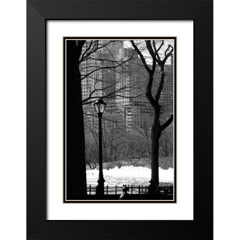 Central Park Concrete Forest Black Modern Wood Framed Art Print with Double Matting by Grey, Jace
