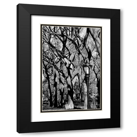 Central Park Image 1744 Black Modern Wood Framed Art Print with Double Matting by Grey, Jace