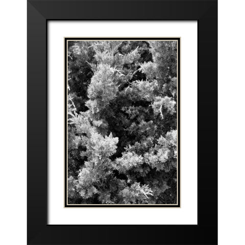 Beach Foliage 3 Black Modern Wood Framed Art Print with Double Matting by Grey, Jace