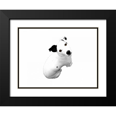 Jack Russell Buddy 1 Black Modern Wood Framed Art Print with Double Matting by Grey, Jace
