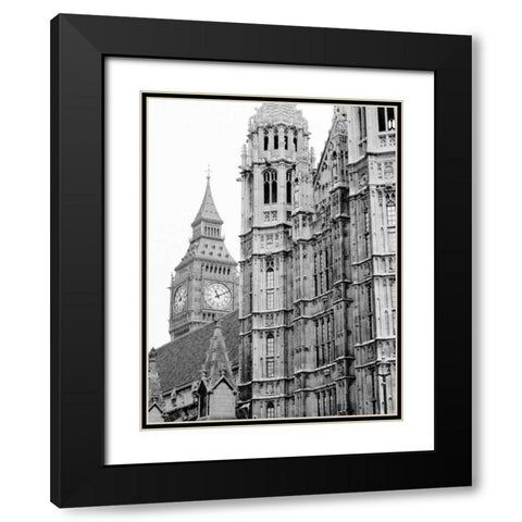 London Natural History Museum Black Modern Wood Framed Art Print with Double Matting by Grey, Jace