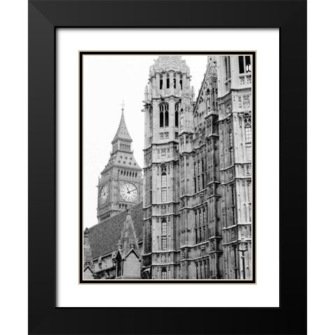 London Natural History Museum Black Modern Wood Framed Art Print with Double Matting by Grey, Jace