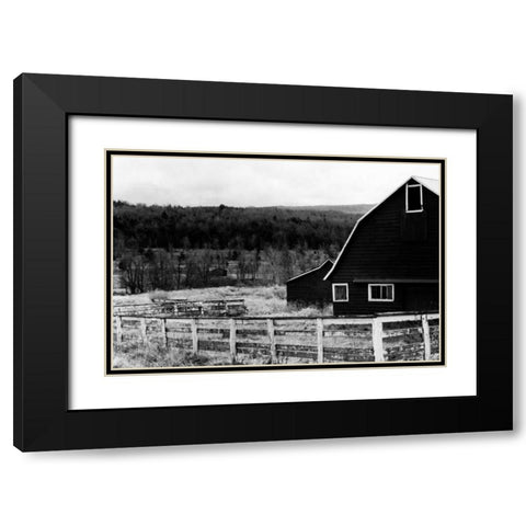 Rancher 2 Black Modern Wood Framed Art Print with Double Matting by Pica, Jeff