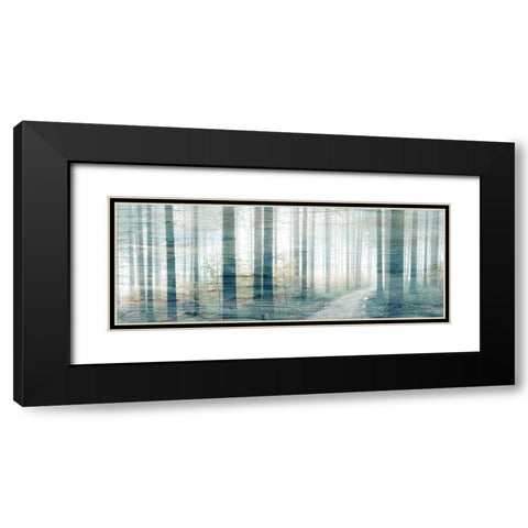 Forest Road Black Modern Wood Framed Art Print with Double Matting by Kimberly, Allen
