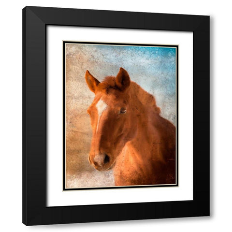 In Your Eyes Black Modern Wood Framed Art Print with Double Matting by Allen, Kimberly