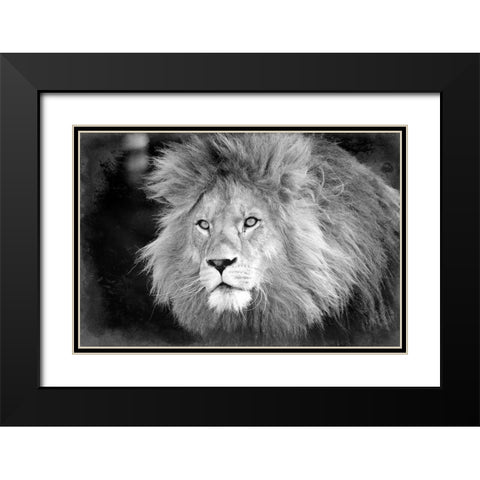 Intent Black Modern Wood Framed Art Print with Double Matting by Kimberly, Allen