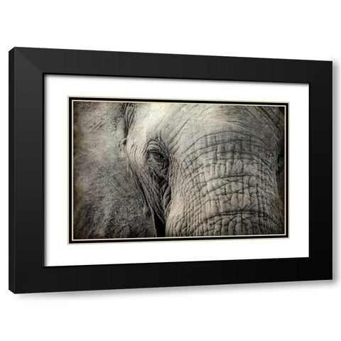 Gazing Black Modern Wood Framed Art Print with Double Matting by Kimberly, Allen