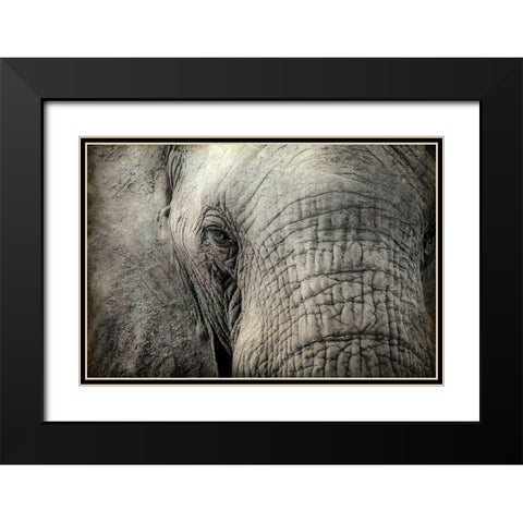 Gazing Black Modern Wood Framed Art Print with Double Matting by Kimberly, Allen