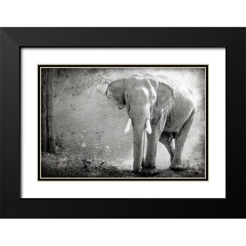 Olde Grey Black Modern Wood Framed Art Print with Double Matting by Kimberly, Allen