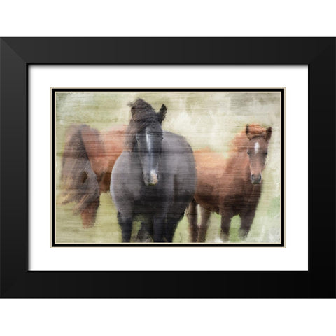My Three Black Modern Wood Framed Art Print with Double Matting by Kimberly, Allen