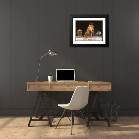 Smiles from the Barn Black Modern Wood Framed Art Print with Double Matting by Kimberly, Allen