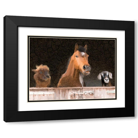 Smiles from the Barn Black Modern Wood Framed Art Print with Double Matting by Kimberly, Allen