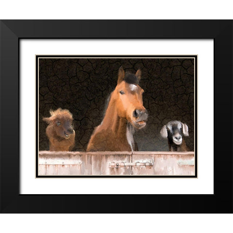 Smiles from the Barn Black Modern Wood Framed Art Print with Double Matting by Kimberly, Allen