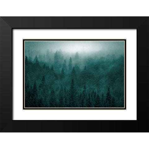 Emerald Forest Black Modern Wood Framed Art Print with Double Matting by Kimberly, Allen