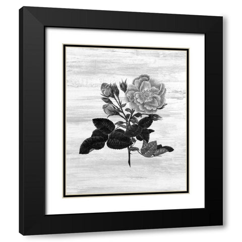 Botanical Flower 1 Black Modern Wood Framed Art Print with Double Matting by Kimberly, Allen