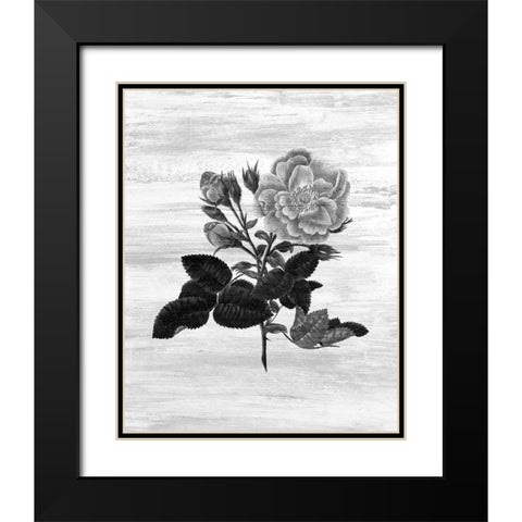 Botanical Flower 1 Black Modern Wood Framed Art Print with Double Matting by Kimberly, Allen