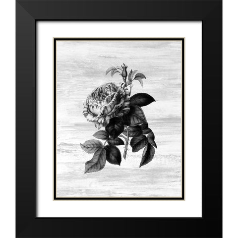 Botanical Flower 2 Black Modern Wood Framed Art Print with Double Matting by Kimberly, Allen