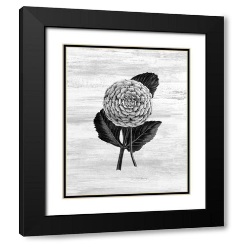 Botanical Flower 3 Black Modern Wood Framed Art Print with Double Matting by Kimberly, Allen