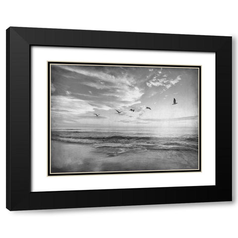Soaring Above The Sea Black Modern Wood Framed Art Print with Double Matting by Kimberly, Allen