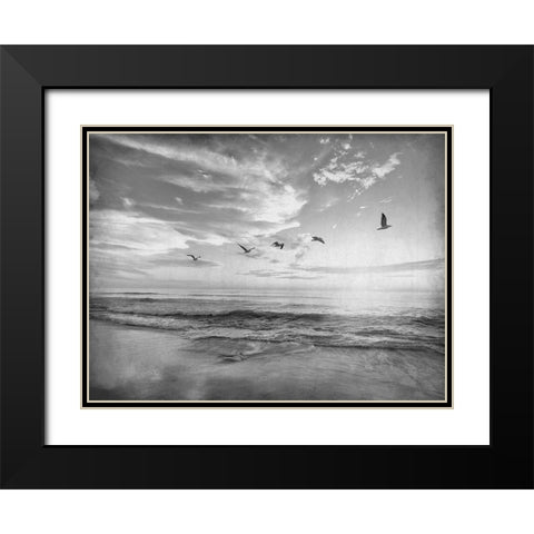 Soaring Above The Sea Black Modern Wood Framed Art Print with Double Matting by Kimberly, Allen