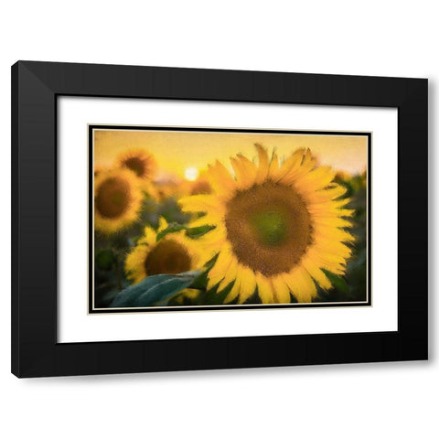Morning Gold Black Modern Wood Framed Art Print with Double Matting by Kimberly, Allen