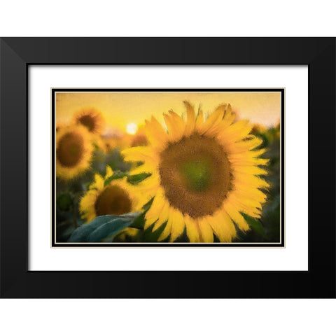 Morning Gold Black Modern Wood Framed Art Print with Double Matting by Kimberly, Allen
