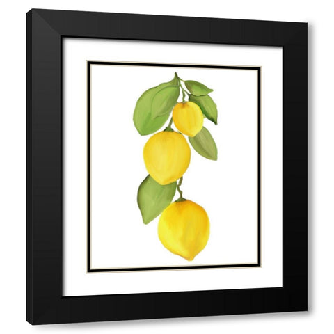 Fresh Lemons 4 Black Modern Wood Framed Art Print with Double Matting by Kimberly, Allen