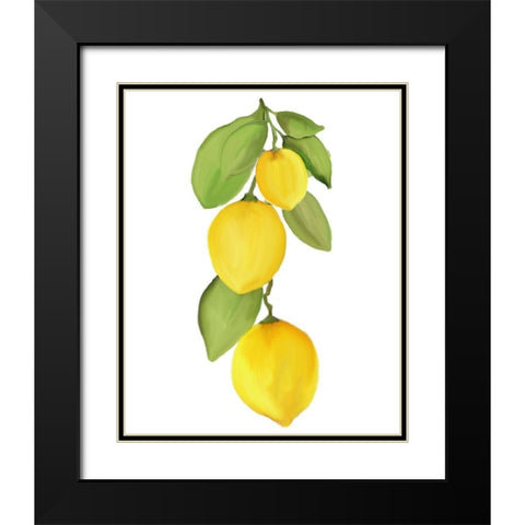 Fresh Lemons 4 Black Modern Wood Framed Art Print with Double Matting by Kimberly, Allen