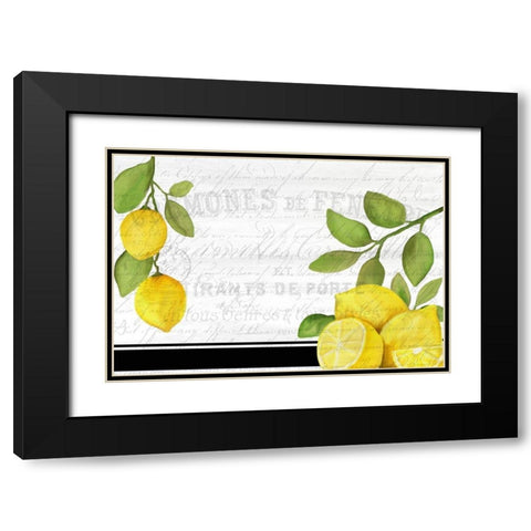 Fresh Lemons 7 Black Modern Wood Framed Art Print with Double Matting by Kimberly, Allen