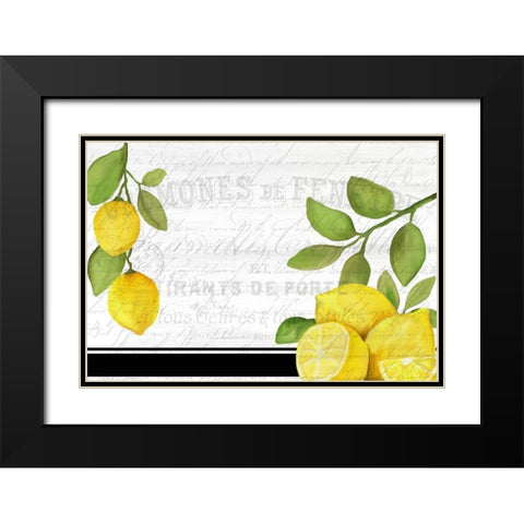 Fresh Lemons 7 Black Modern Wood Framed Art Print with Double Matting by Kimberly, Allen