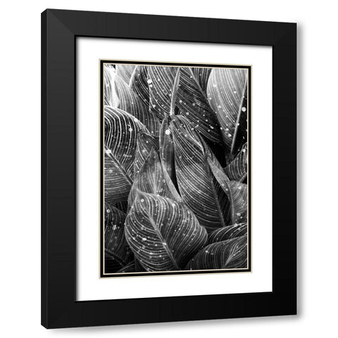 Midnight Palm Leaves 1 bw Black Modern Wood Framed Art Print with Double Matting by Allen, Kimberly