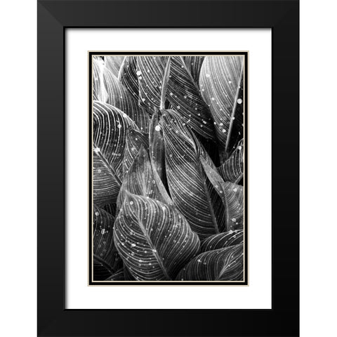 Midnight Palm Leaves 1 bw Black Modern Wood Framed Art Print with Double Matting by Allen, Kimberly